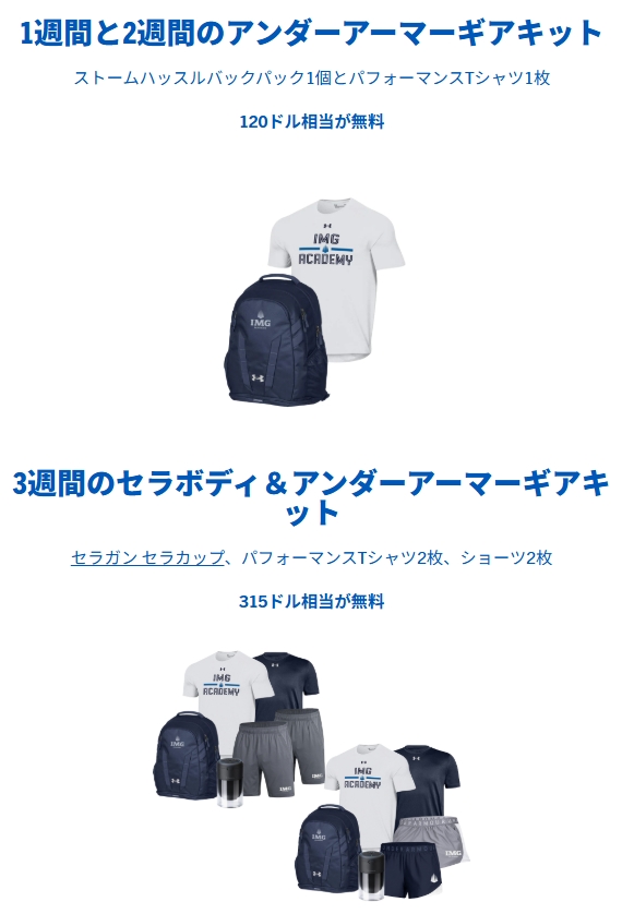 サンプル画像